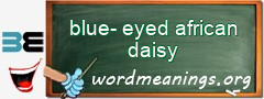 WordMeaning blackboard for blue-eyed african daisy